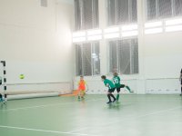 IMG_5528
